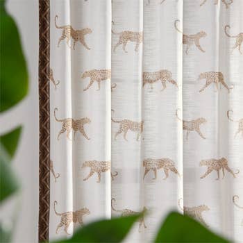 Curtains with a leopard signifier hanging beside greenish leaves, shown successful a buying nonfiction context