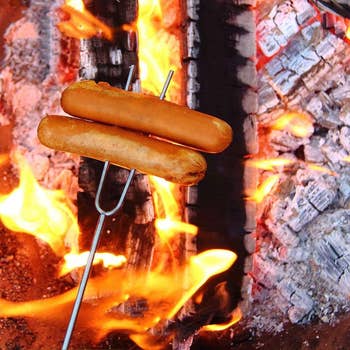 roasting stick holding two hot dogs