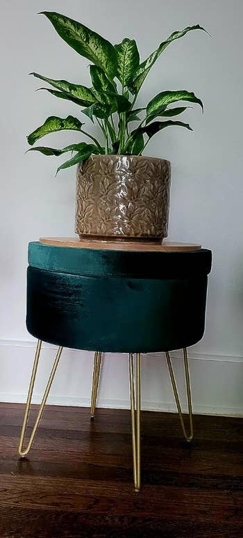 reviewers green ottoman with gold legs and a plant on top of it