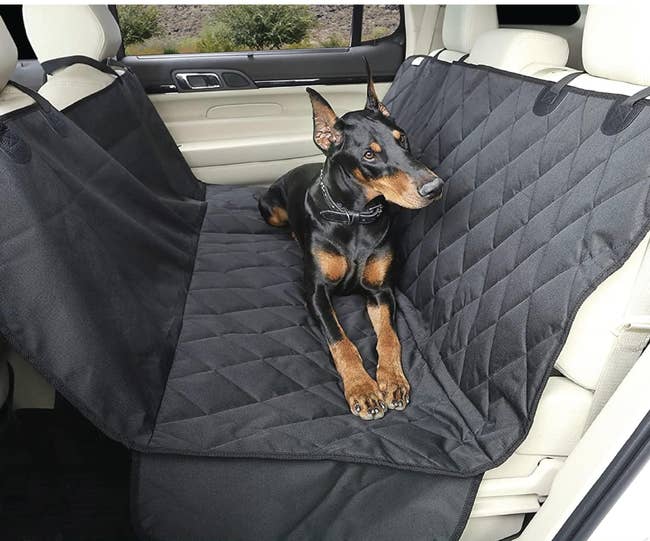 Dog sitting on a black protective car seat cover designed for vehicle interiors