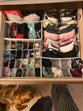 on right: same drawer, with gray dividers that neatly organize the bras and underwear into little cubbies