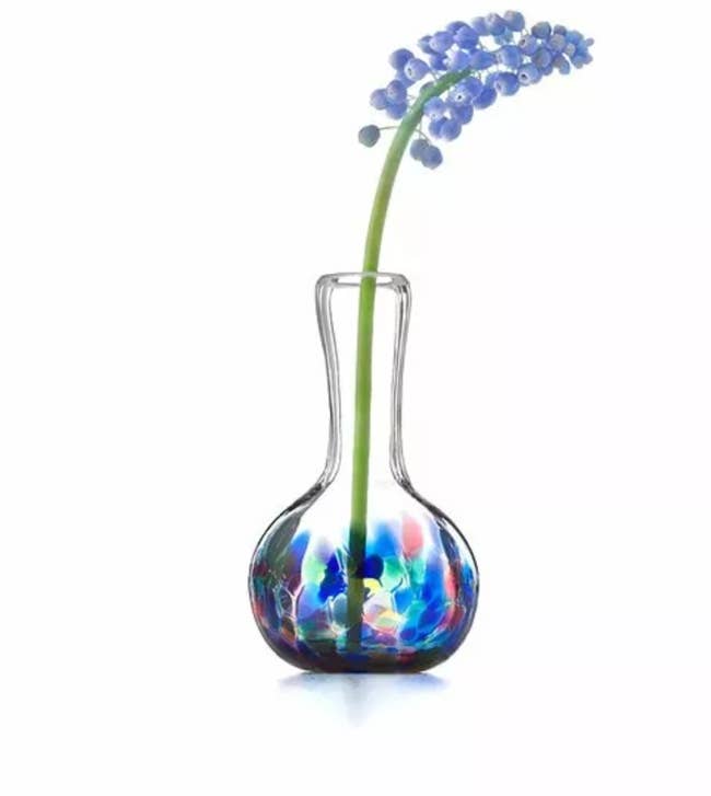 Clear glassblown vase with blue, pink, green, and yellow dots on the bottom and a single flower inside on a white background
