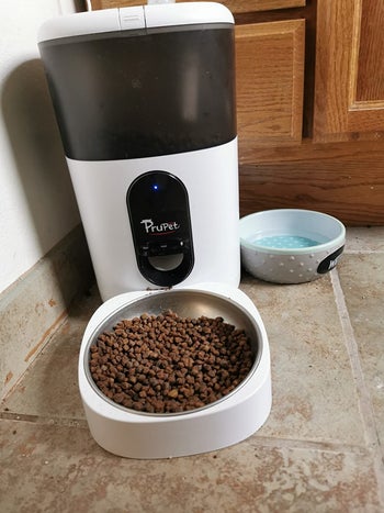 Reviewer image of product with bowl filled with cat food