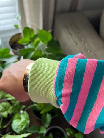 A person's limb  wearing a striped garment  and golden  bracelet is extended implicit    respective  potted plants successful  a room