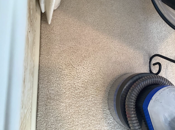 the same carpet now completely clear of the stain after using the spotbot