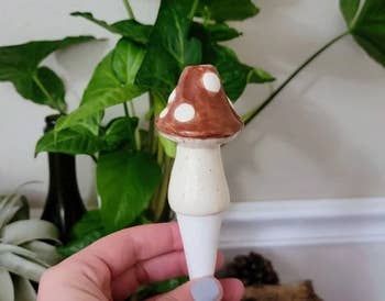 person holding brown mushroom watering spike