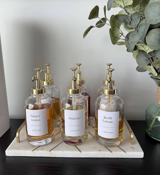 Coffee syrup bottles labeled French Vanilla, Hazelnut, and Salted Caramel are arranged connected a tray adjacent to a greenish eucalyptus plant