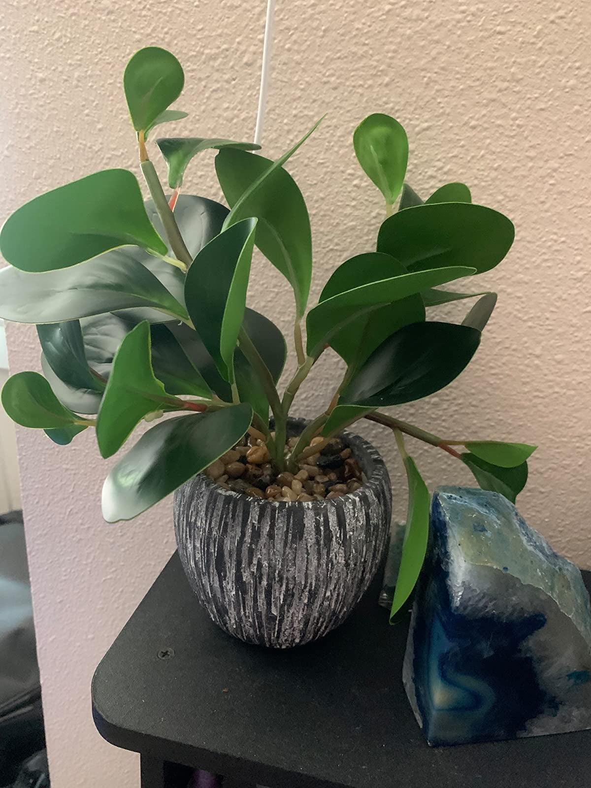 Reviewer image of rounded green leaf fake plant inside ridged black and gray pot with stones inside on top of black cabinet