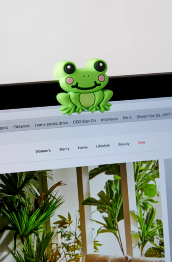 a green frog cover on a laptop