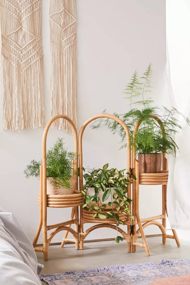 Rattan plant stand with three potted ferns enhancing home decor