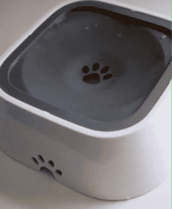 slow feeder pet water bowl with a paw print design