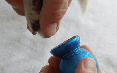 gif of hand using the round blue file on dog nails