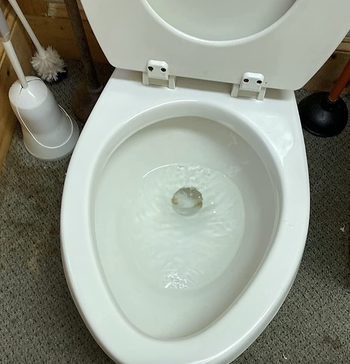 the same reviewer's toilet now completely clean