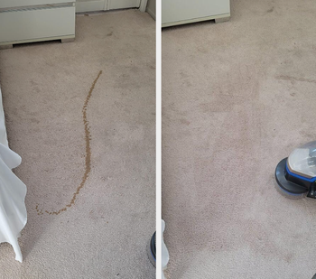 Long brown streak in the reviewer's carpet / same carpet without a streak