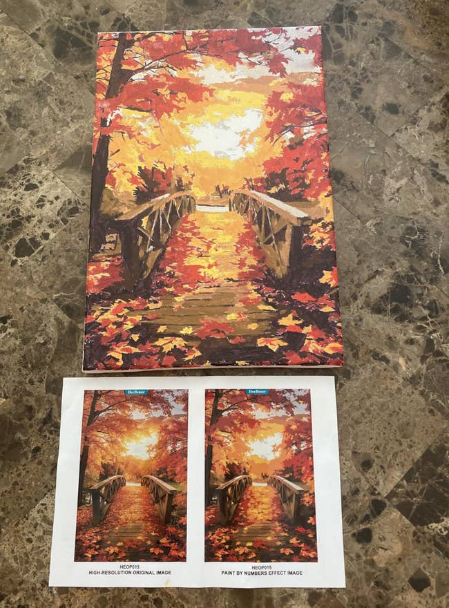 A paint-by-numbers kit featuring a scenic autumn span implicit a watercourse adjacent to a notation representation for comparison