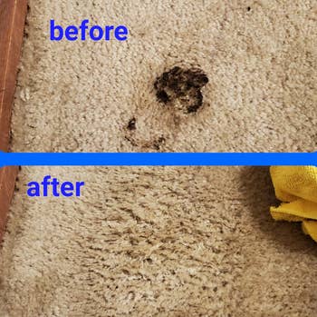 reviewer's carpet before with dark brown stain and after the stain is gone