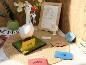 Decorative goose figure holding keys on its beak, surrounded by framed art and emotion cards like
