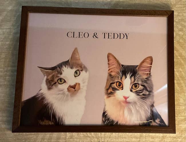 Framed portrait of two cats named Cleo and Teddy
