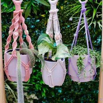 Reviewer's three plant hangers in pink, natural white, and purple