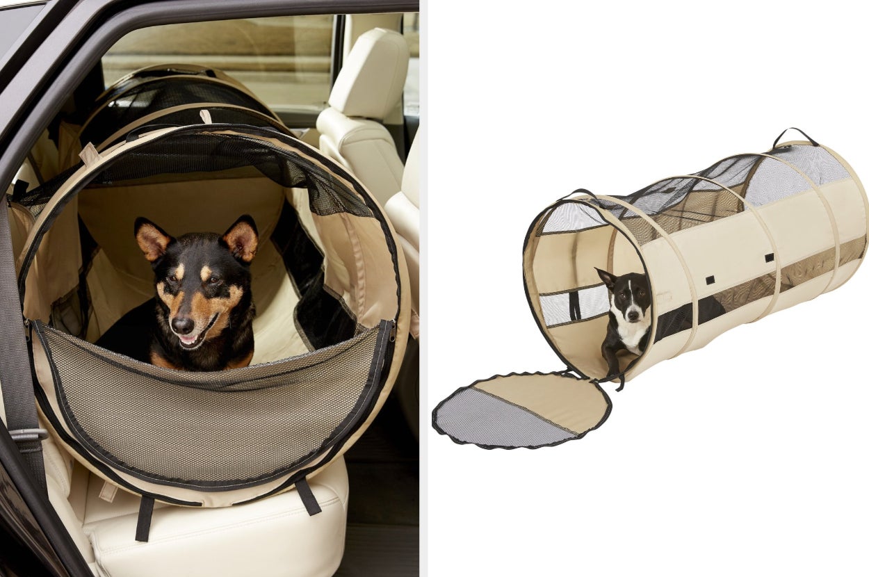 Dog laying inside beige and black tube-shaped enclosed dog car seat in backseat, dog inside product on a white background