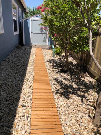 Reviewer's wood path leads to an outdoor shed