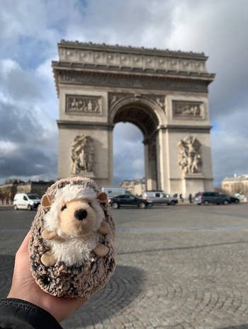 Reviewer's plush hedgehog on their trip in Paris