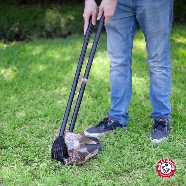 a exemplary utilizing the pooper scooper