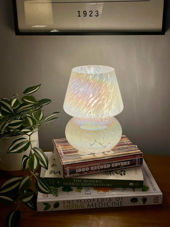 reviewer's array lamp connected books with a works beside it