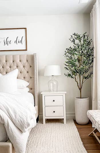 reviewer's olive tree in the corner of a bedroom