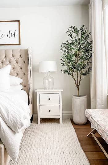 reviewer's olive tree in the corner of a bedroom