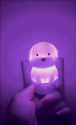 Hand holding a glowing dog-shaped nighttime  airy  successful  a dim room