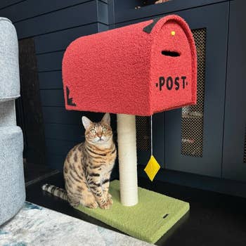 A Bengal cat sits beside a unique mailbox-shaped cat house with a scratching post base. Perfect for pet-friendly homes