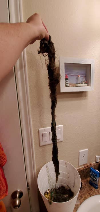 Reviewer holding a long string of thick hair that the drain snake helped remove
