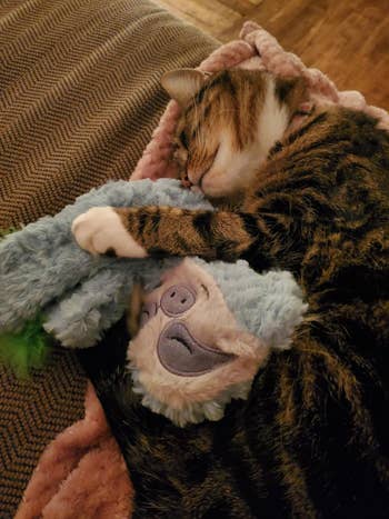 reviewer's cat snuggling with a plush toy on a cozy blanket