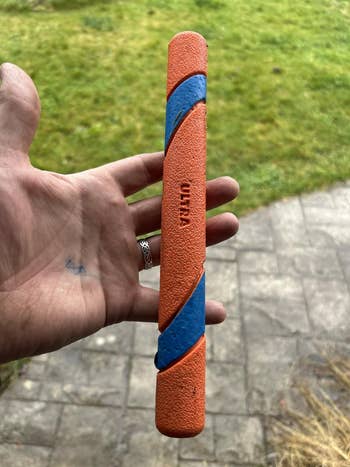 Orange and bluish  rubber canine  artifact  labeled 
