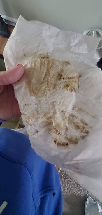 reviewer photo of a dirty paper towel showing how much dirt was removed from their dog's paws