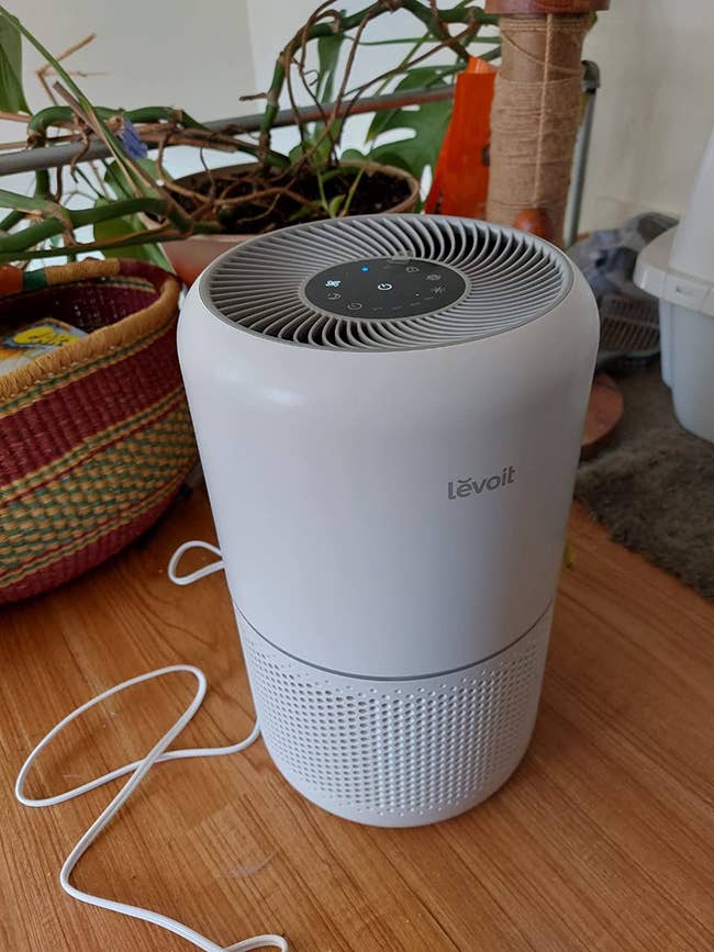reviewer image of the levoit air purifier