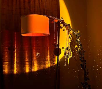 the orange light cast on a lamp