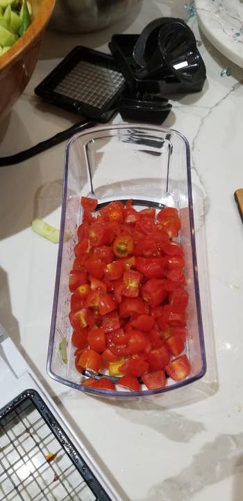 the same tomatoes in the bin after they've been chopped