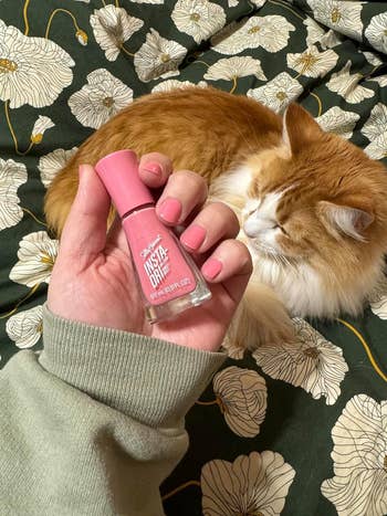 Hand holding a pink nail polish bottle with a ginger and white cat resting in the background