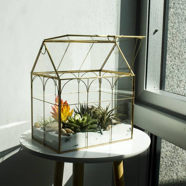glass box with gold frame shaped like a greenhouse with a hinged lid on the roof