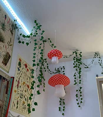 a reviewer shows two mushroom hanging in the corner