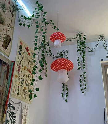 a reviewer shows two mushroom hanging in the corner