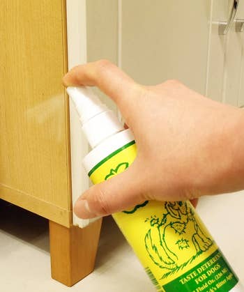a model spraying furniture with the deterrent 