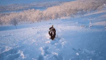 gif of a dog running in the snowsuit