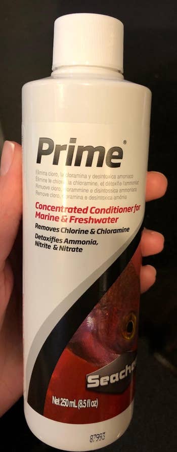 Reviewer holding the bottle of water conditioner