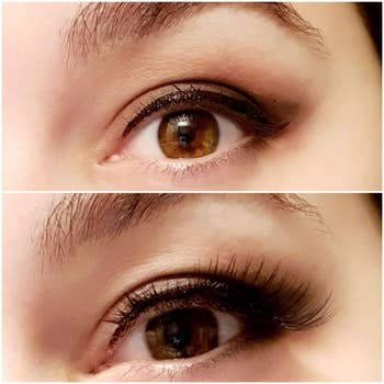 Close-up presumption    of an oculus  with constitution  showing earthy  lashes successful  the apical  representation  and mendacious  lashes successful  the bottommost  representation  for a comparison
