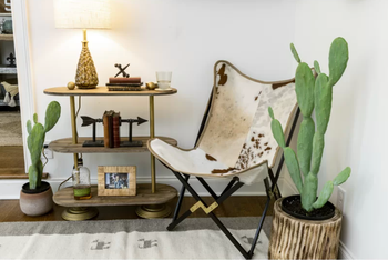 photo of tan cowhide chair in the corner of bedroom, surrounded by cacti