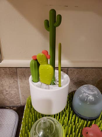 reviewer's complete cacti brush set in its container