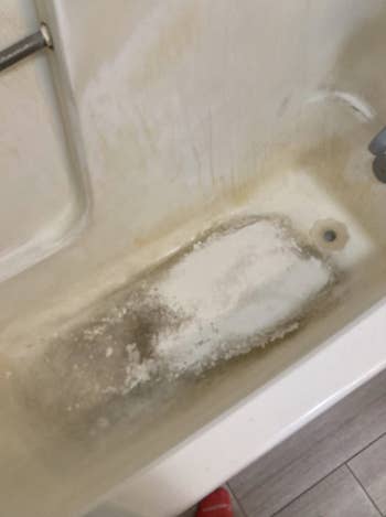 reviewer's filthy bath tub